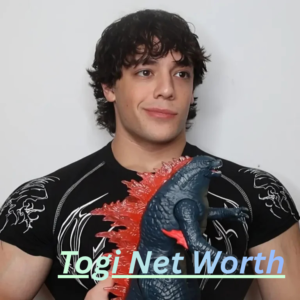 Togi Net Worth